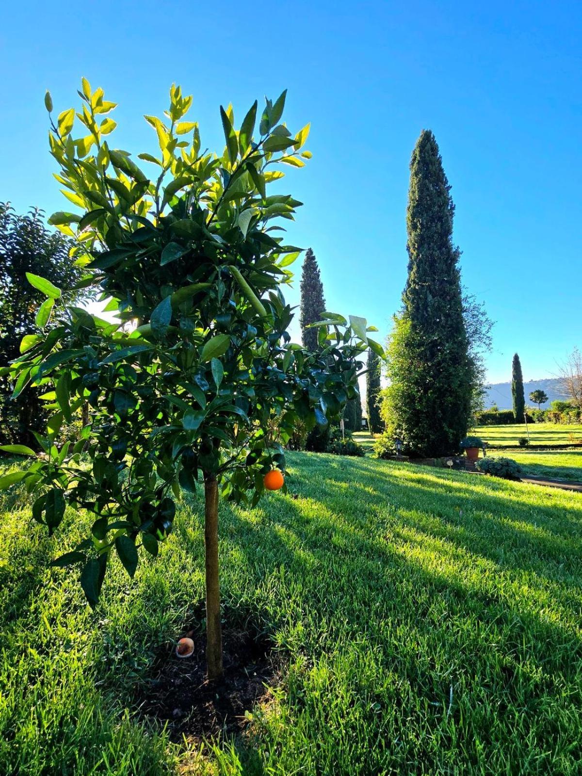 Agriturismo Le Grotte Nemi Ngoại thất bức ảnh