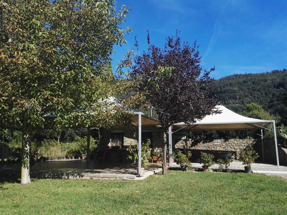Agriturismo Le Grotte Nemi Ngoại thất bức ảnh